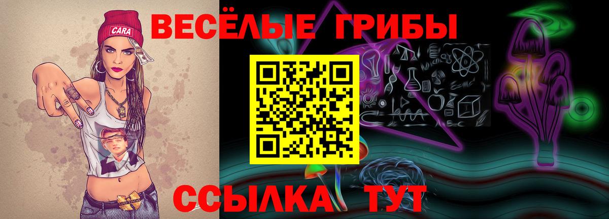 Галлюциногенные грибы Magic Shrooms Шахты
